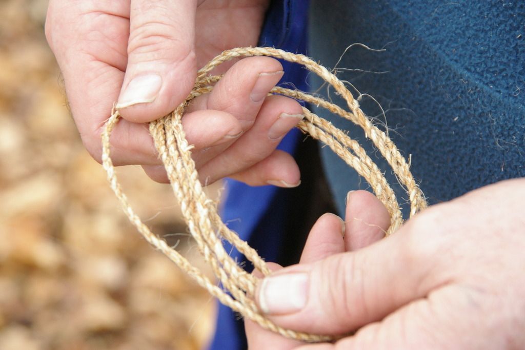 Thistle cordage Bushcraft USA Forums